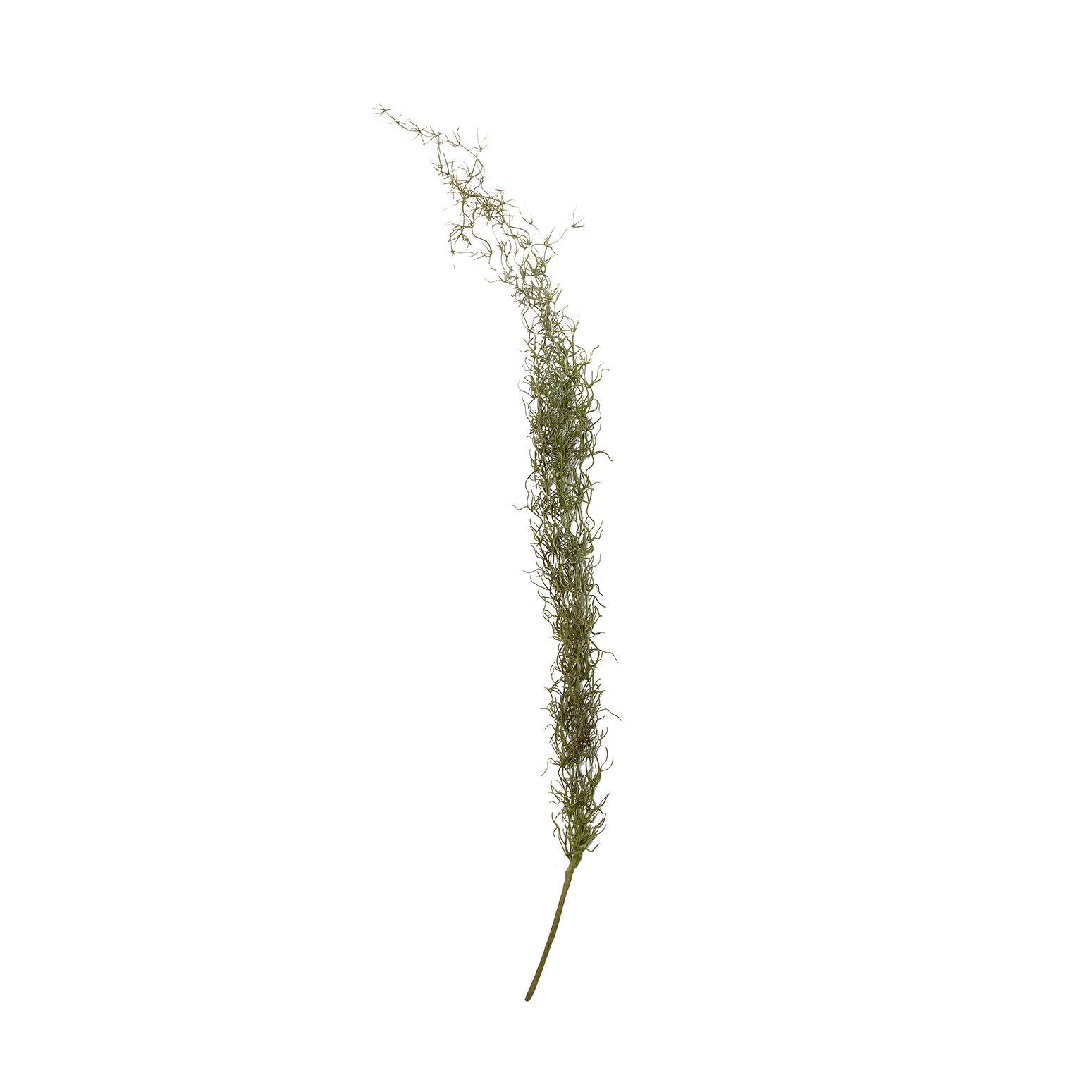 VICAL - FLOR ROMERO