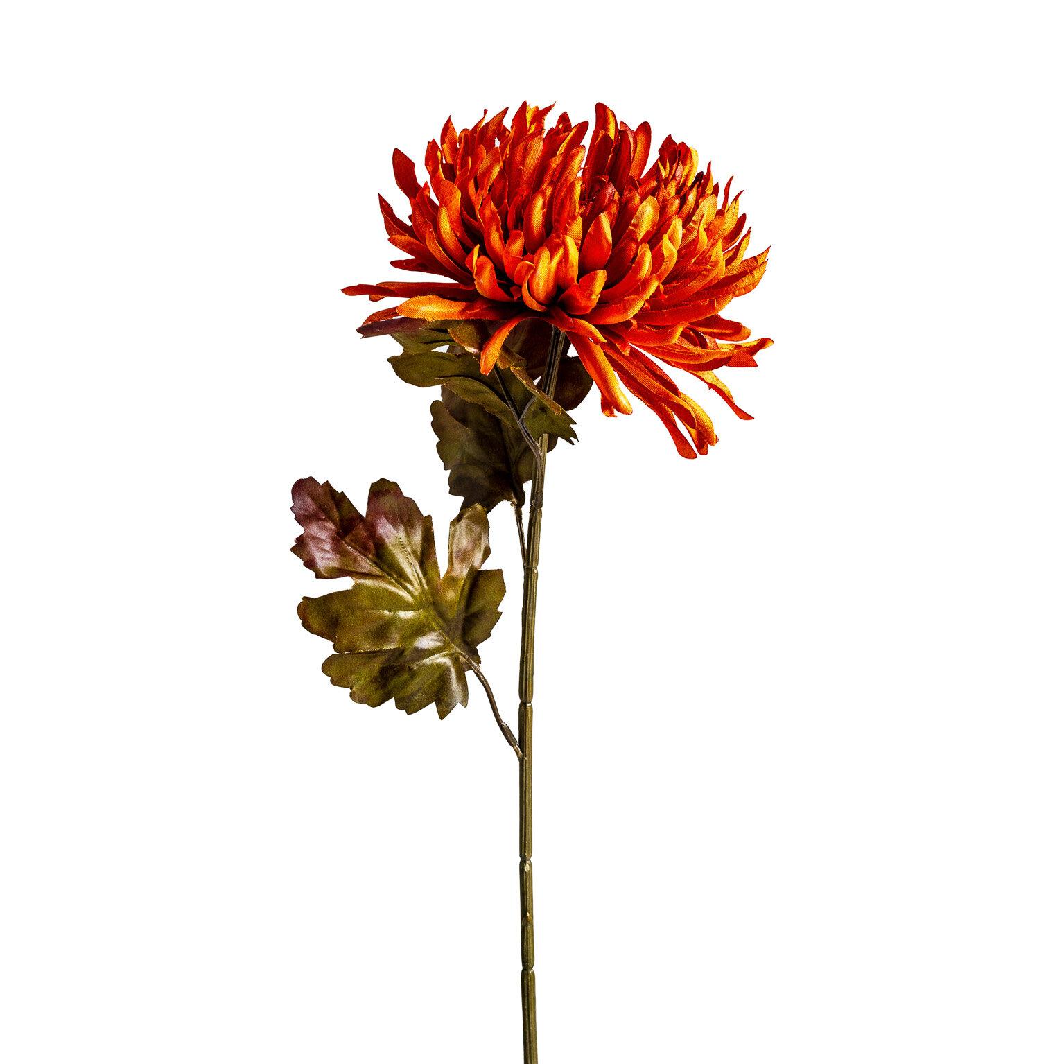 VICAL - FLOR CRISANTEMA