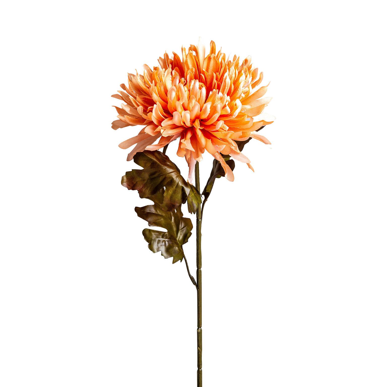 VICAL - FLOR CRISANTEMA