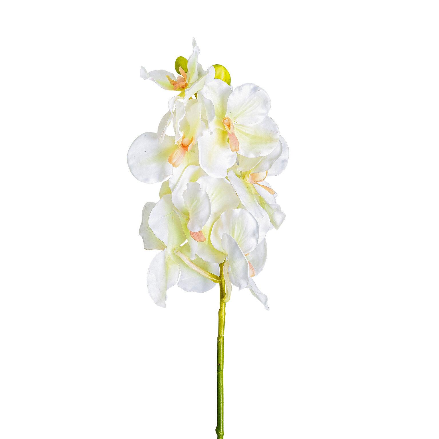 VICAL - FLOR AZAHAR