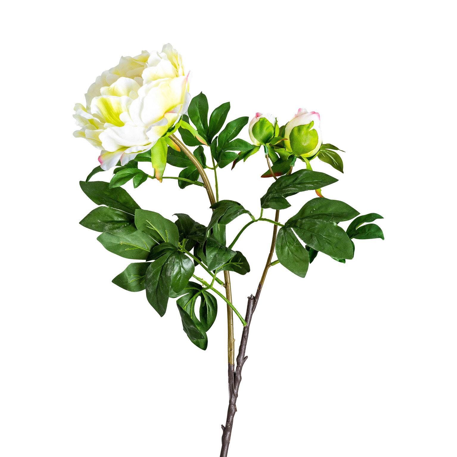 VICAL - FLOR ROSA