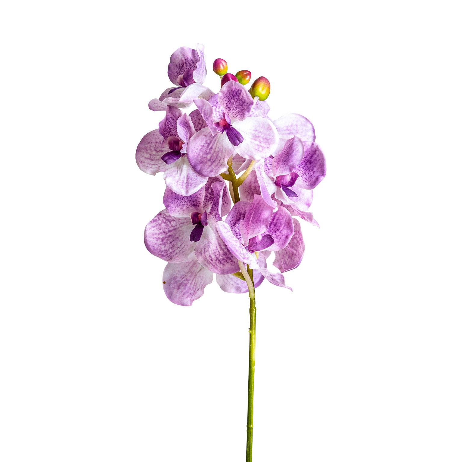 VICAL - FLOR ORQUÍDEA