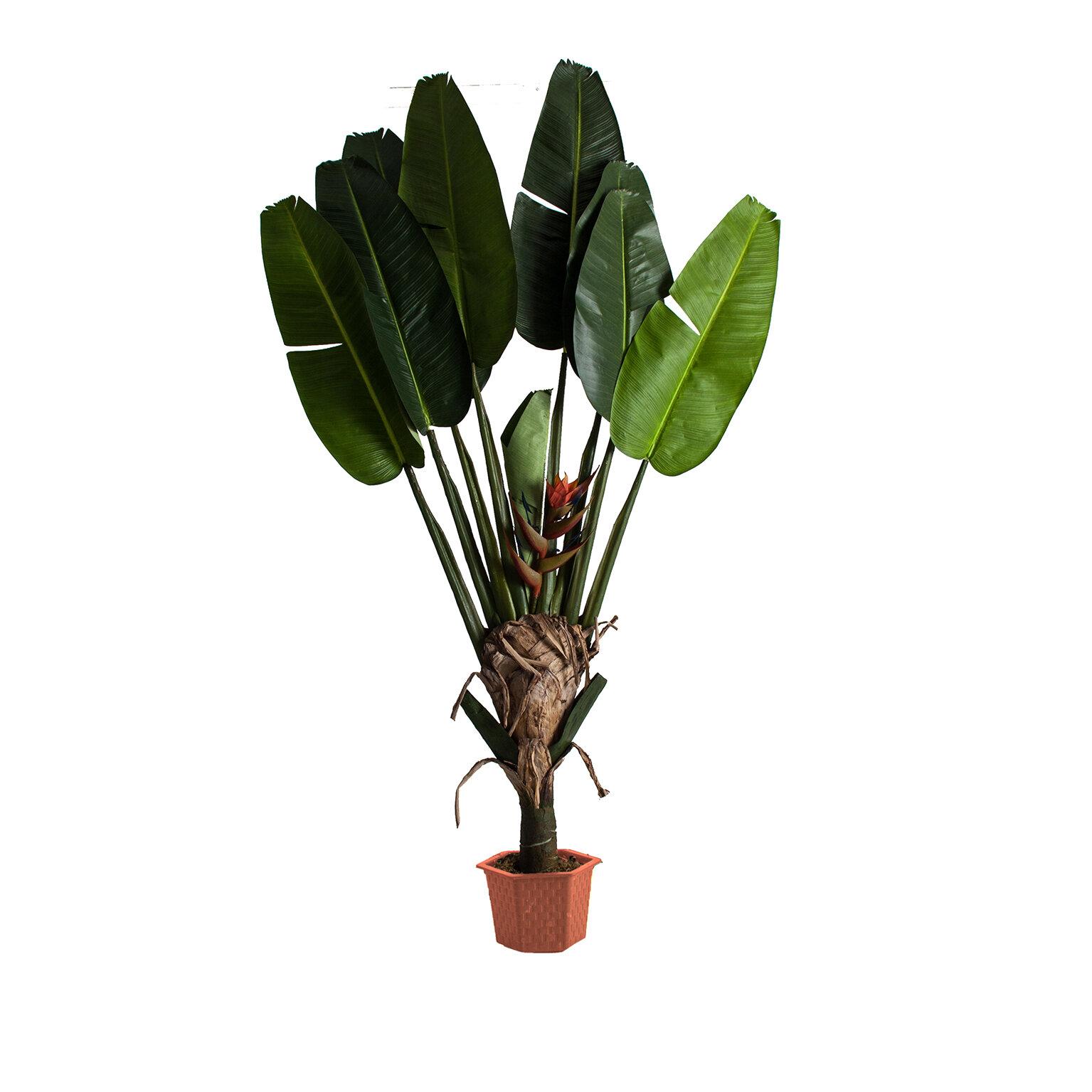 VICAL - PLANTA PARADISE