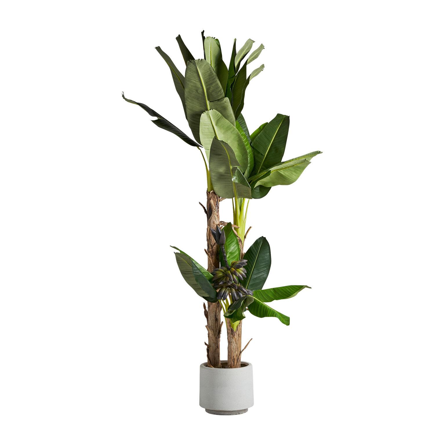 VICAL - PLANTA PLATANERO