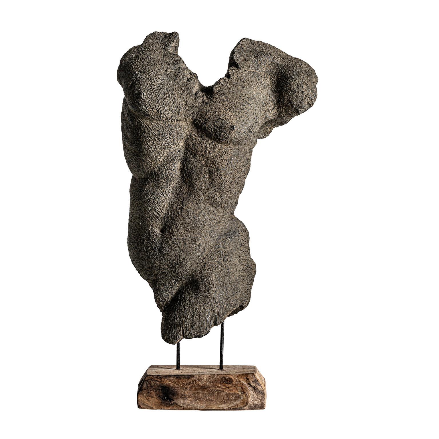 VICAL - BUSTO MAN