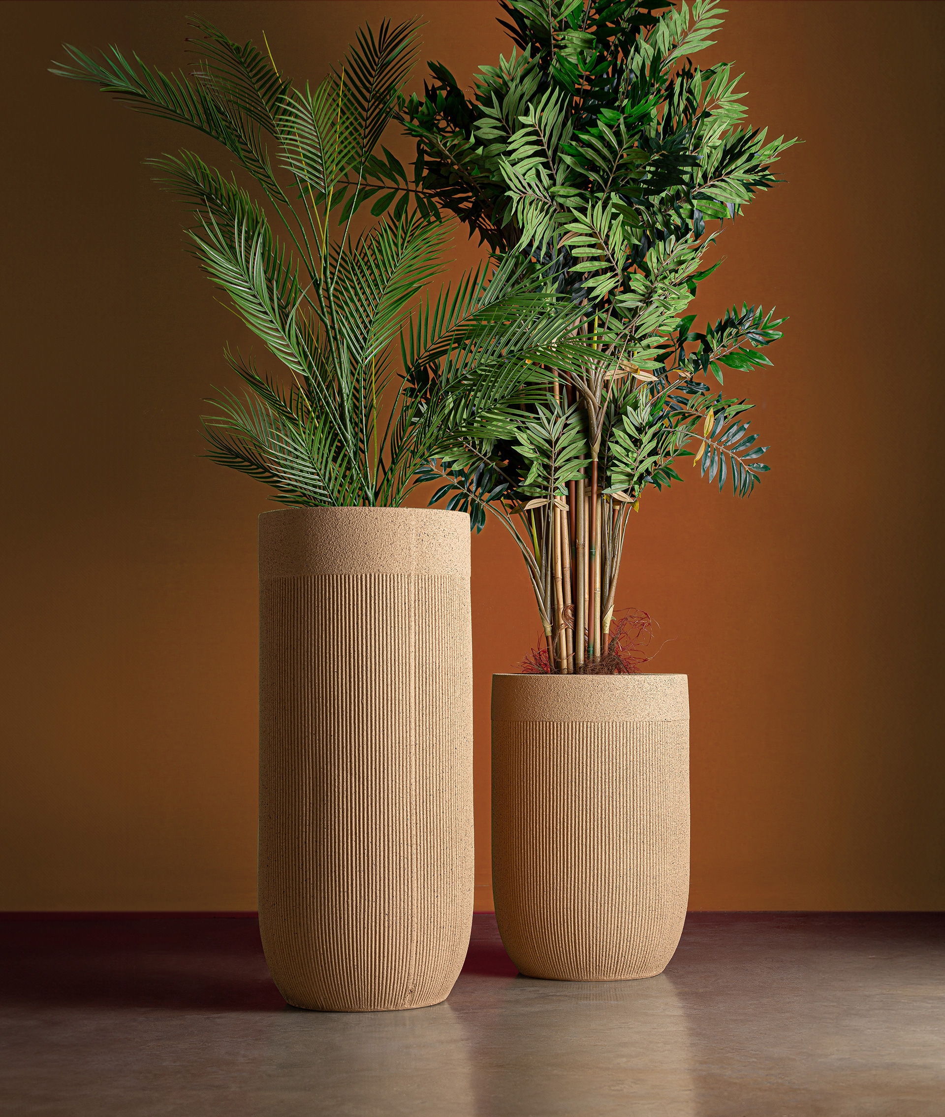 Alternative view of KODU - MACETERO KAVAN