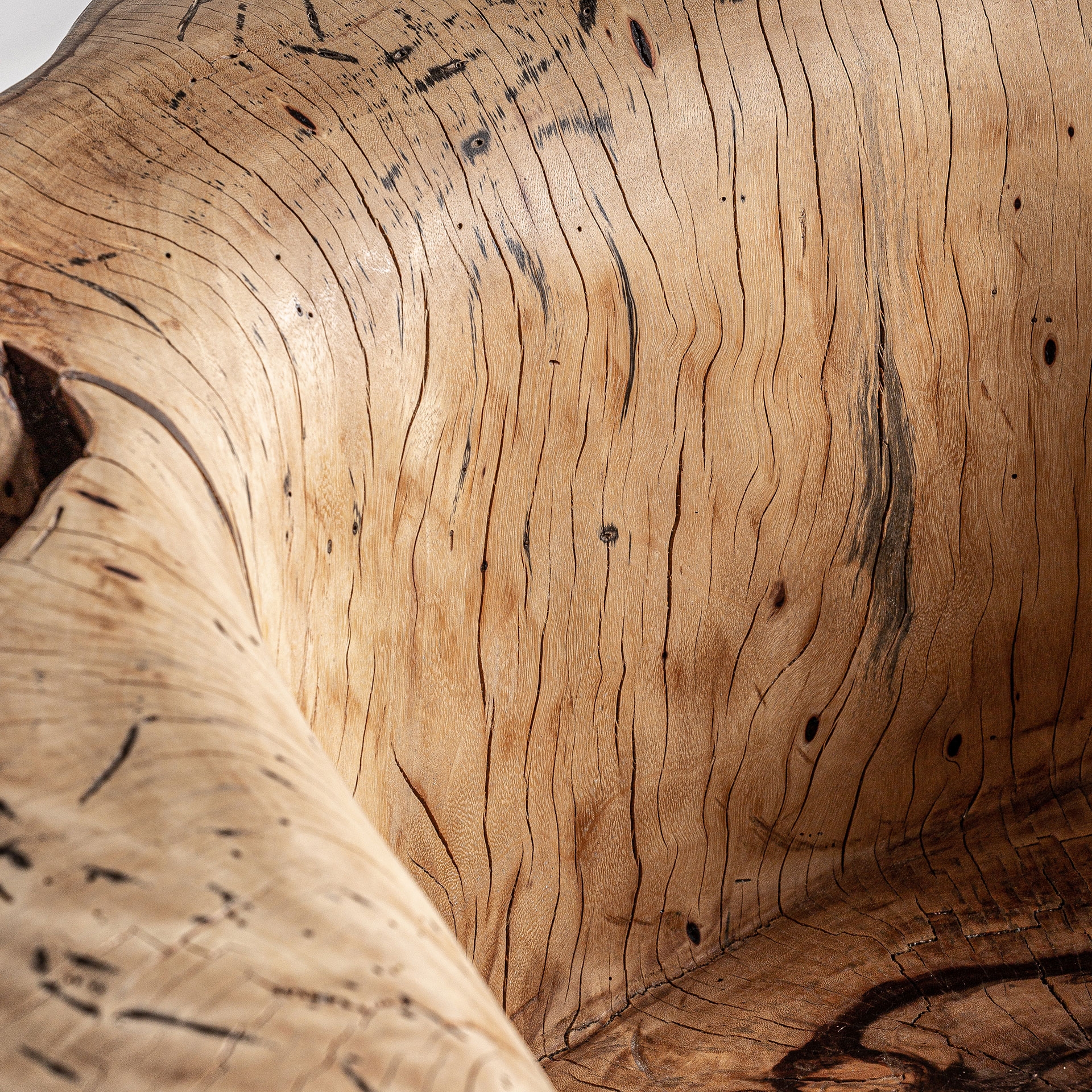 Alternative view of VICAL - SILLÓN DHARM