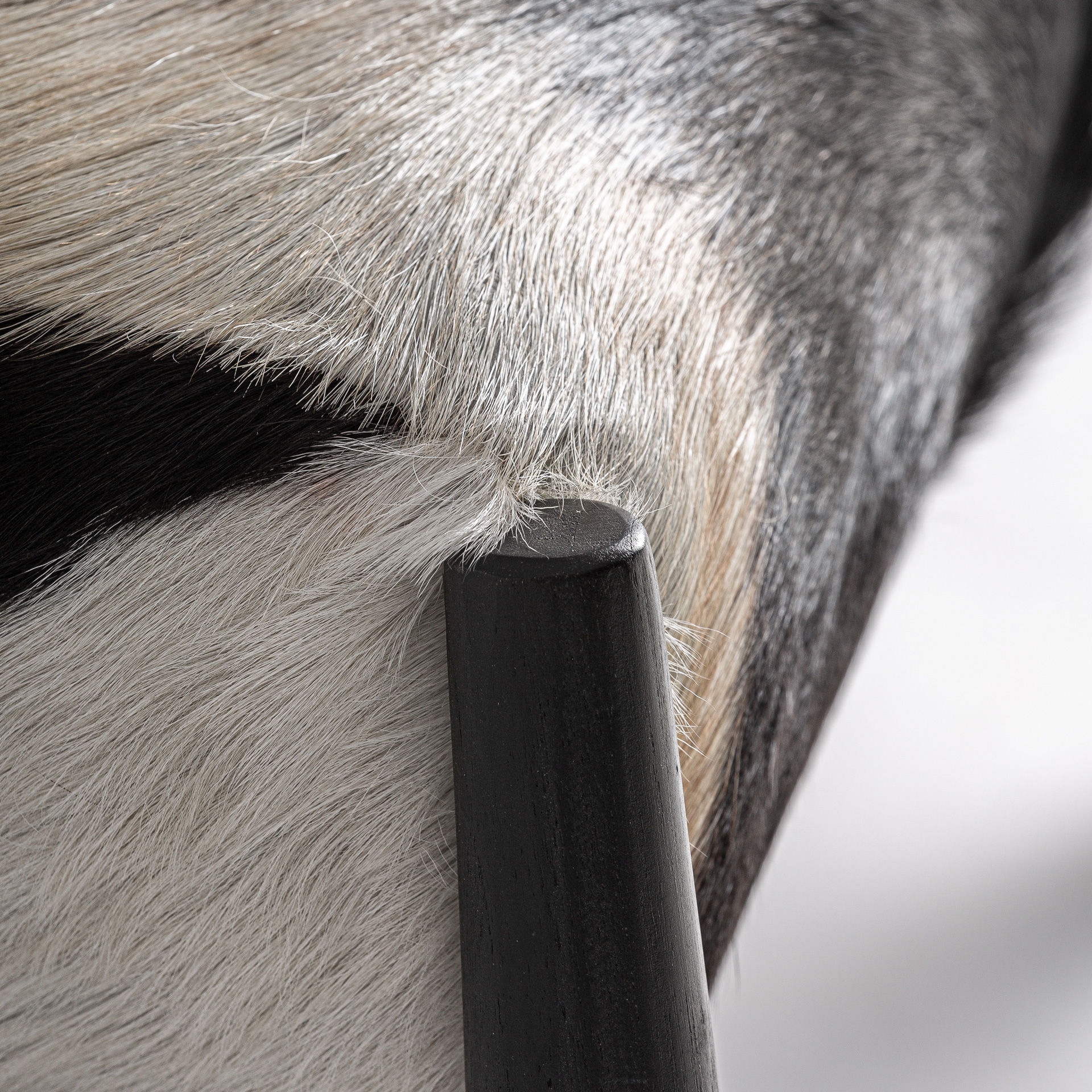 Alternative view of VICAL - SILLÓN KASHER