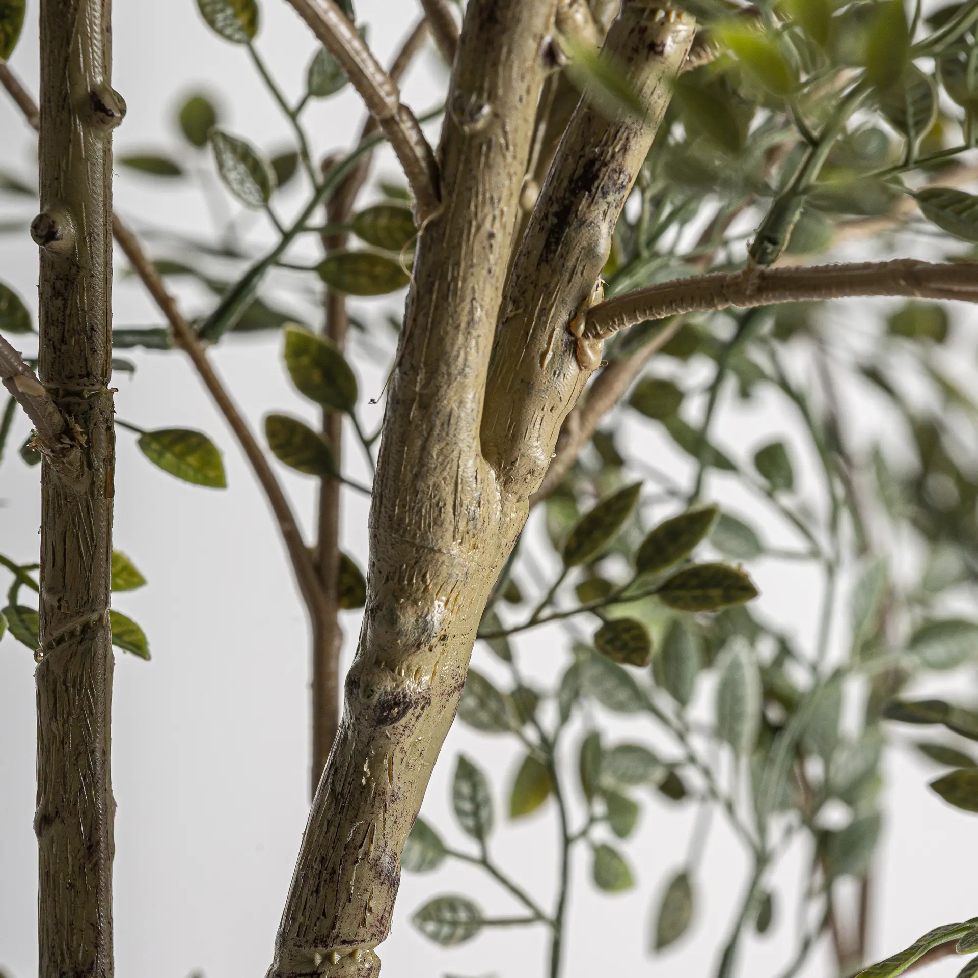 Alternative view of VICAL - PLANTA OLIVO